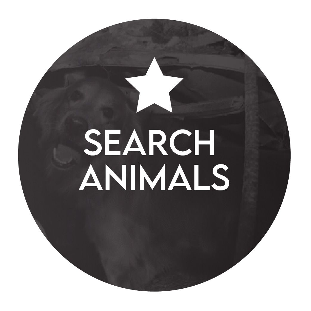PDR Web - Search Animals.jpg