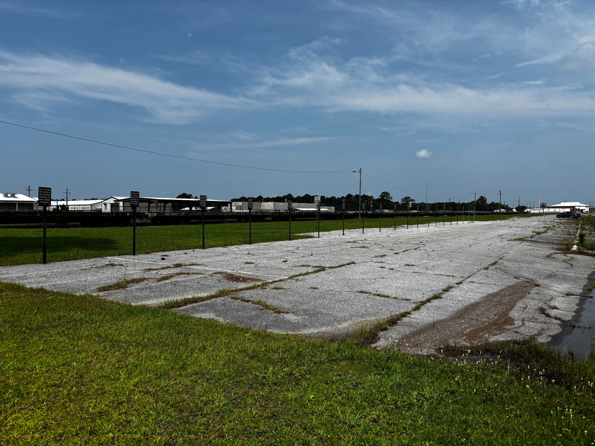 FS Lemon Lot 2.jpg
